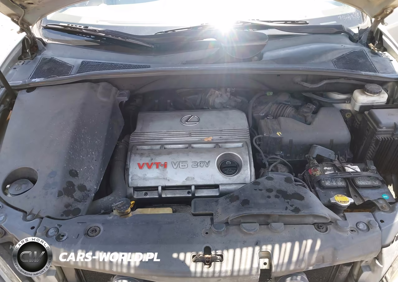 2004 Lexus Rx 330 VIN:2T2HA31U64C004855 - 10