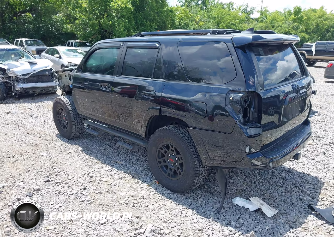 2019 Toyota 4Runner Trd Off Road Premium VIN:JTEBU5JR2K5668990 - 3