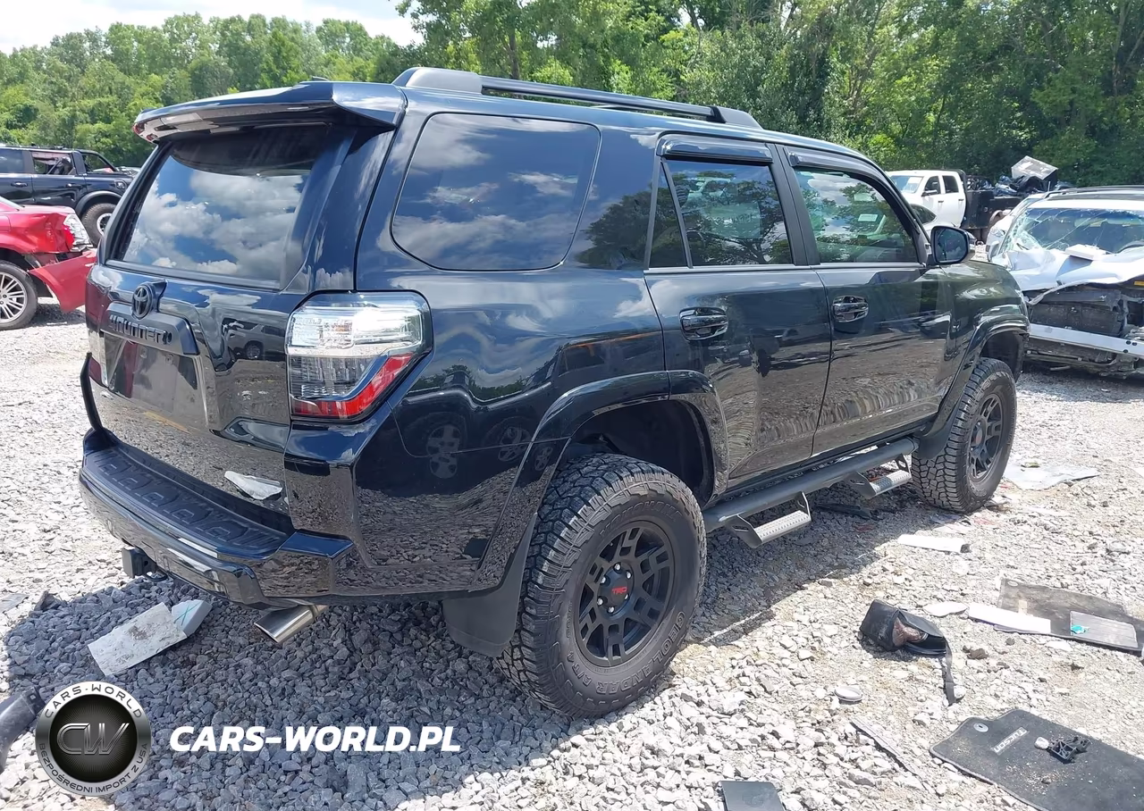 2019 Toyota 4Runner Trd Off Road Premium VIN:JTEBU5JR2K5668990 - 4