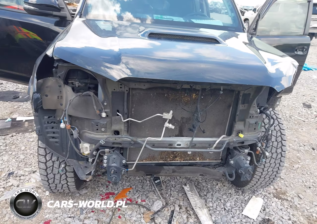 2019 Toyota 4Runner Trd Off Road Premium VIN:JTEBU5JR2K5668990 - 6