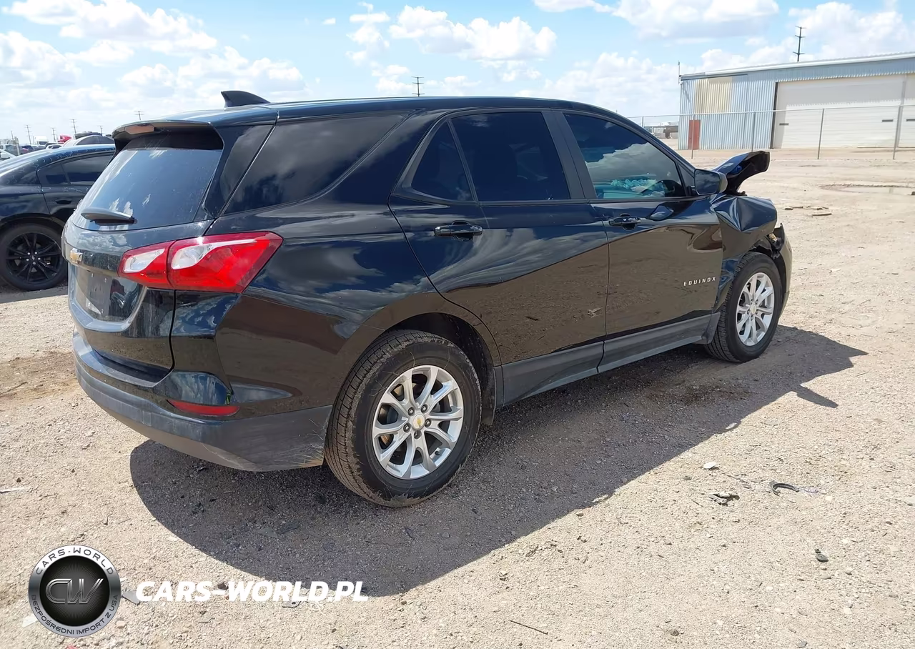 2020 Chevrolet Equinox Fwd Ls VIN:2GNAXHEV0L6251719 - 4