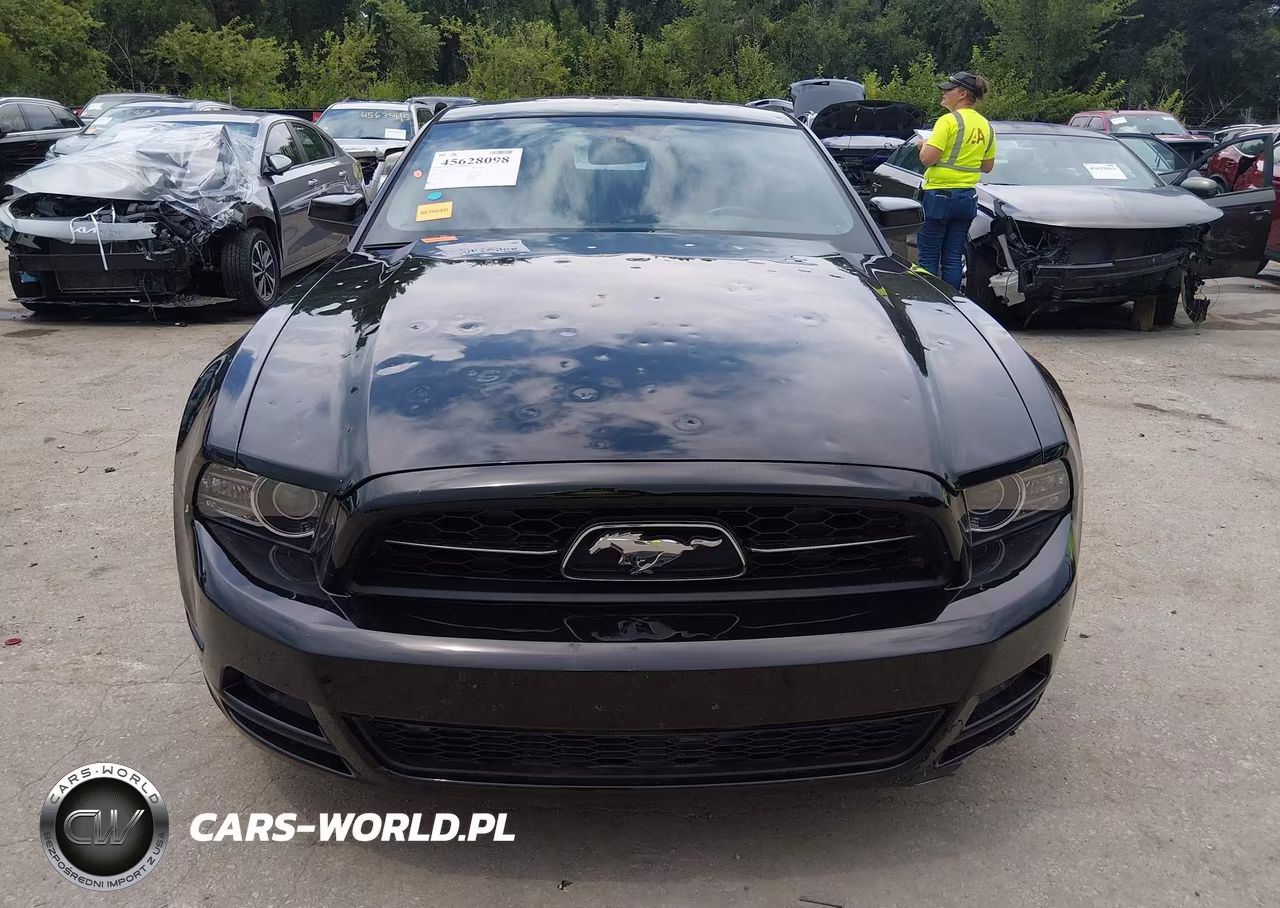 2013 Ford Mustang V6-V6 Premium VIN:1ZVBP8AM1D5257453 - 12