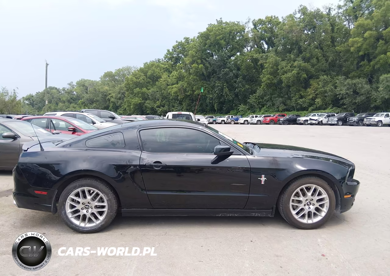 2013 Ford Mustang V6-V6 Premium VIN:1ZVBP8AM1D5257453 - 13