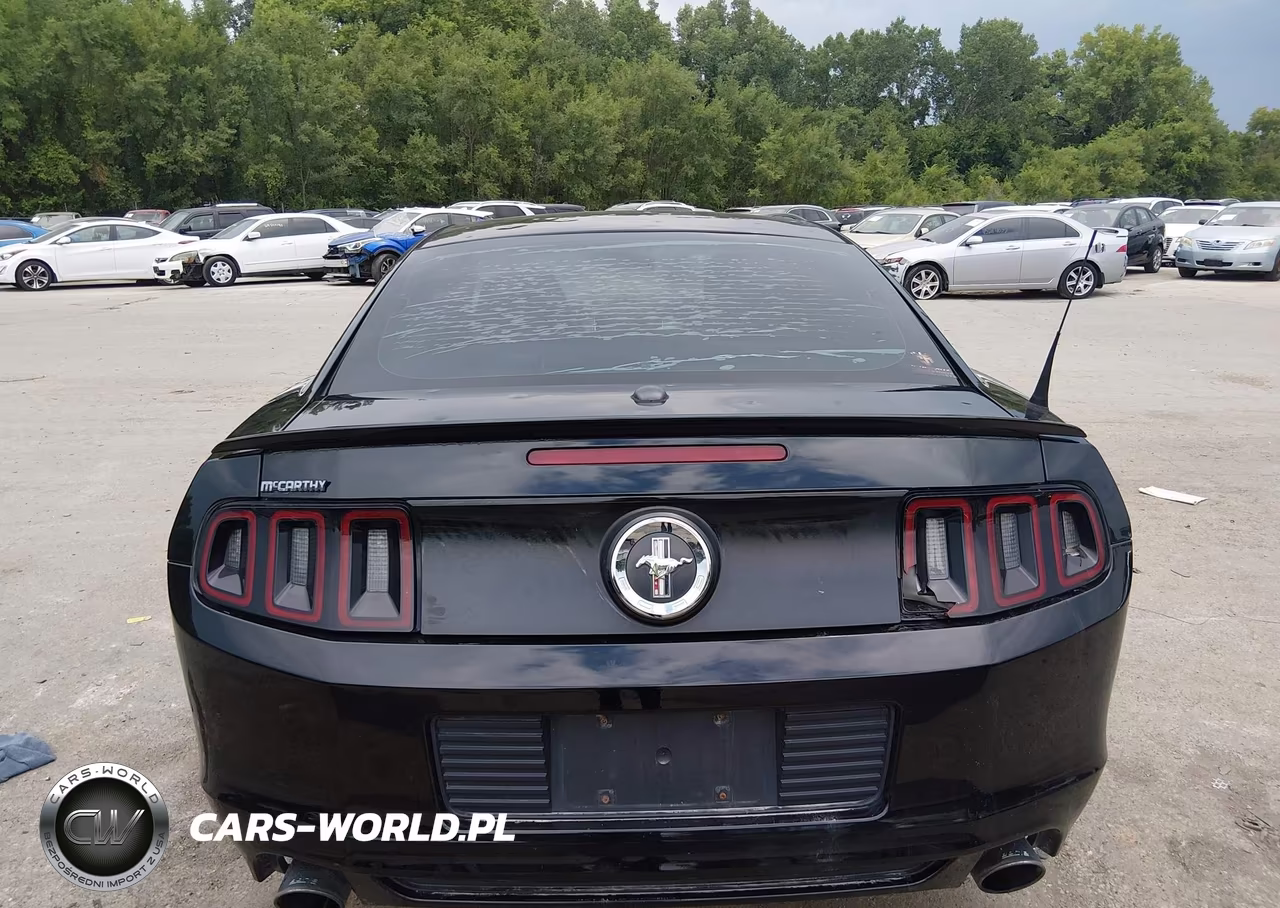 2013 Ford Mustang V6-V6 Premium VIN:1ZVBP8AM1D5257453 - 16