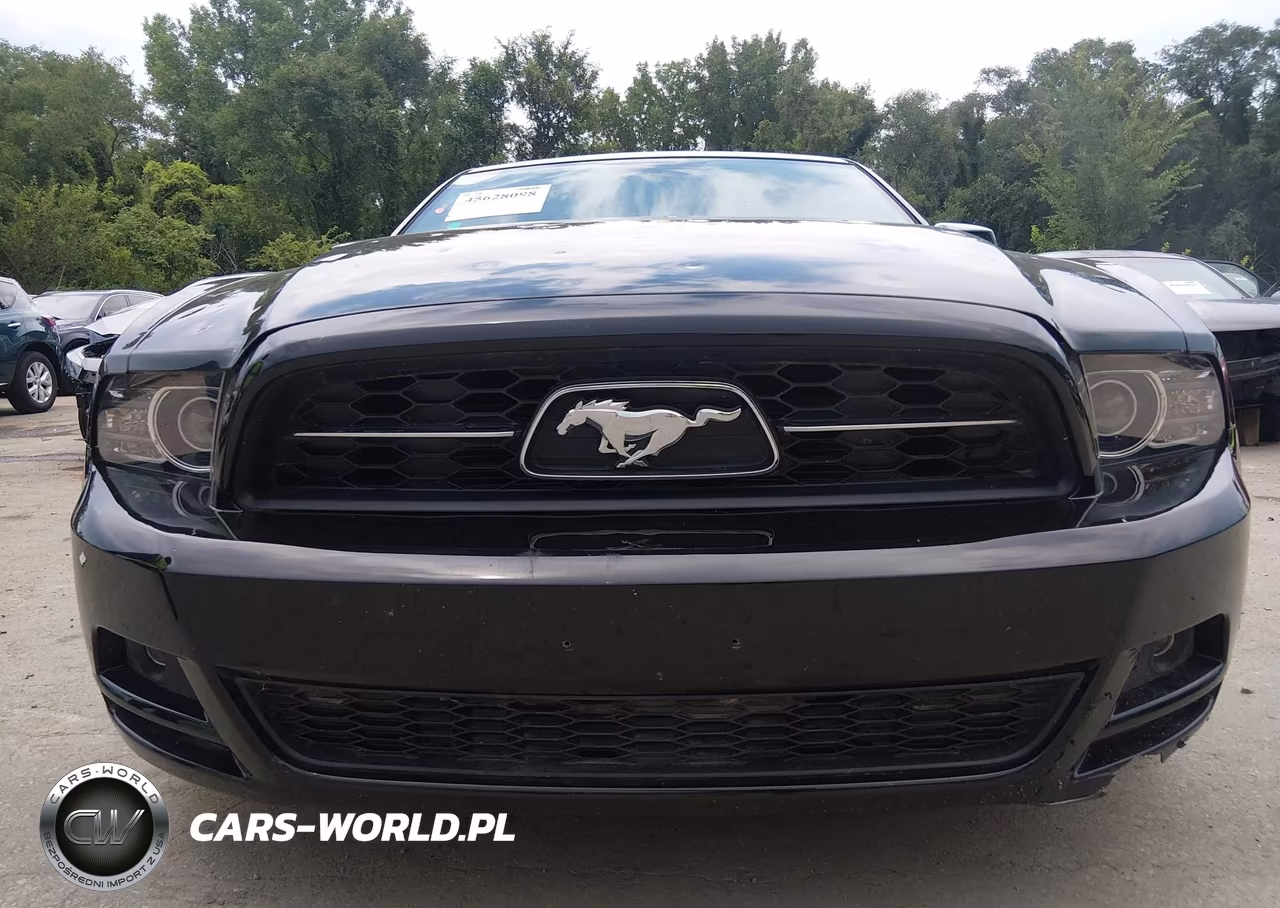 2013 Ford Mustang V6-V6 Premium VIN:1ZVBP8AM1D5257453 - 17