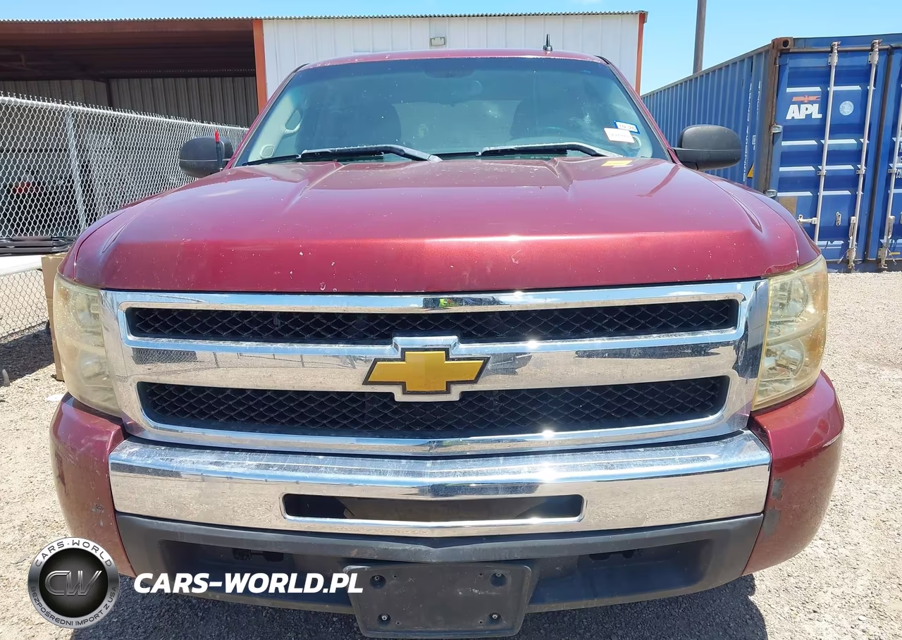 2009 Chevrolet Silverado 1500 Ls VIN:3GCEC13C99G203695 - 12