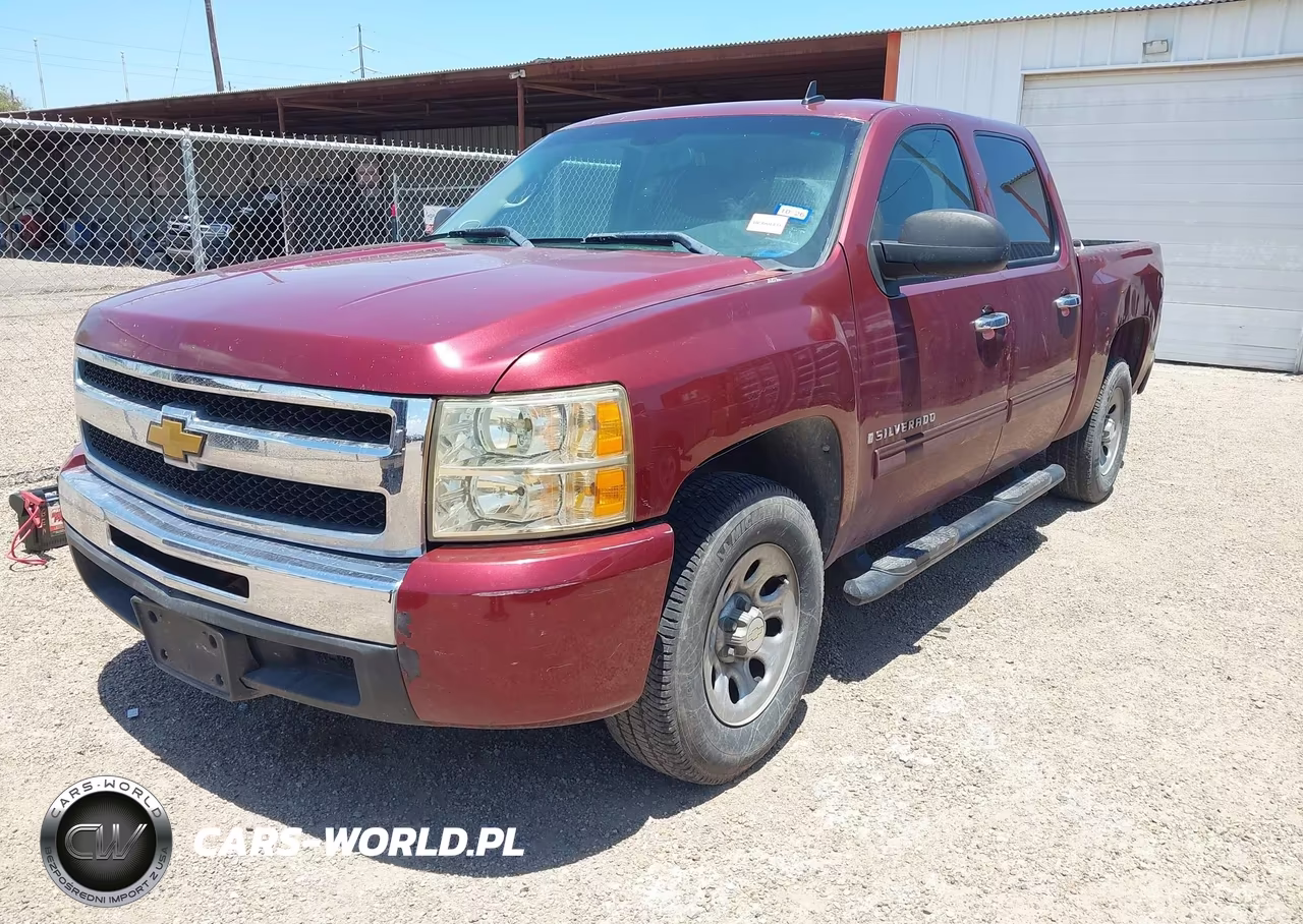 2009 Chevrolet Silverado 1500 Ls VIN:3GCEC13C99G203695 - 2