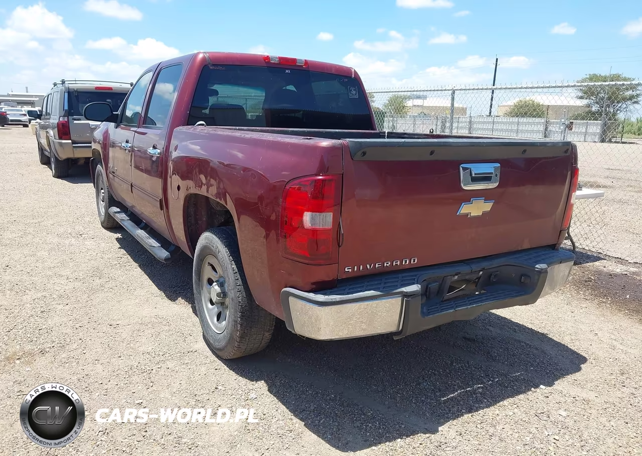 2009 Chevrolet Silverado 1500 Ls VIN:3GCEC13C99G203695 - 3