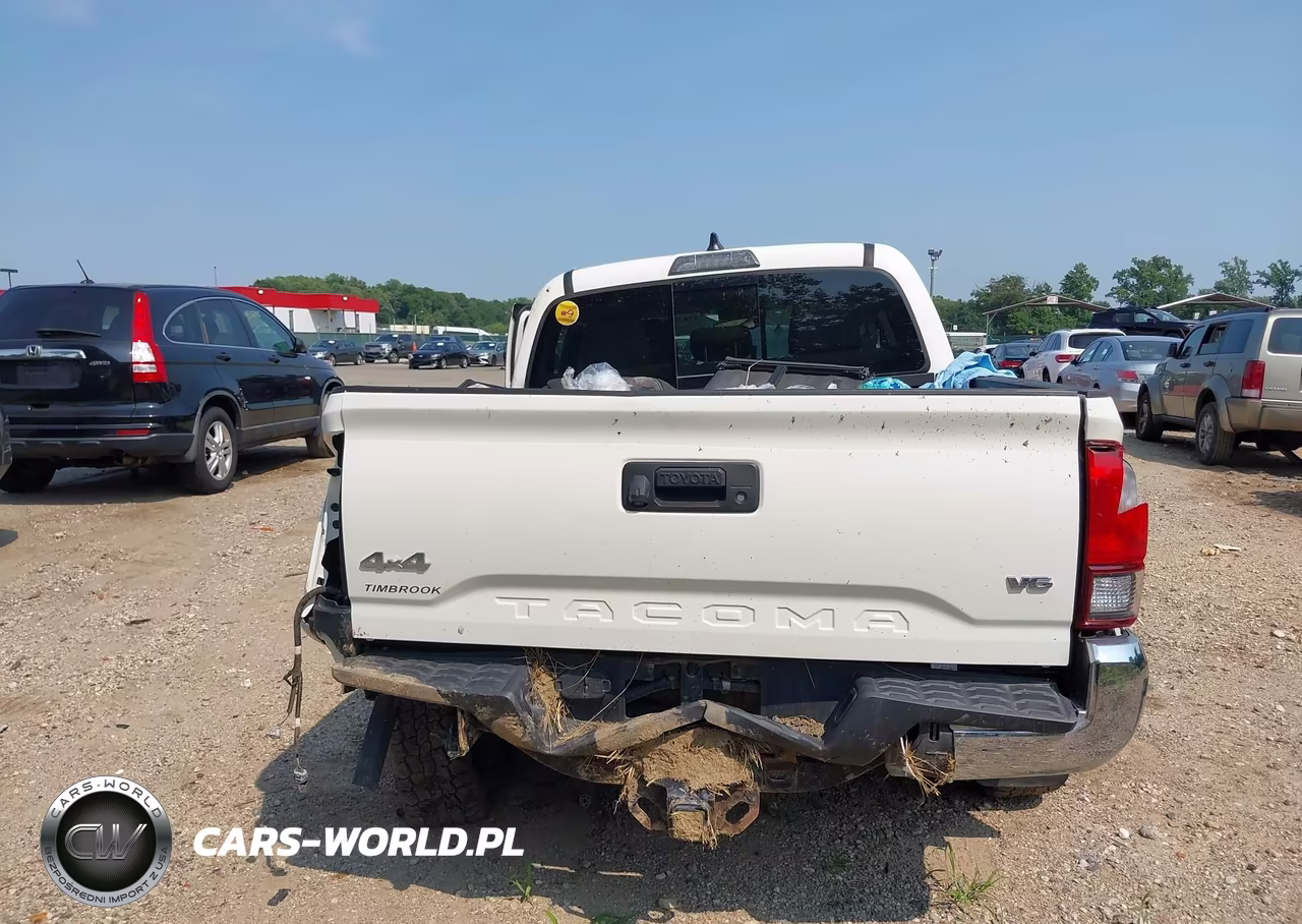 2020 Toyota Tacoma Sr5 V6 VIN:3TMCZ5AN7LM345201 - 17