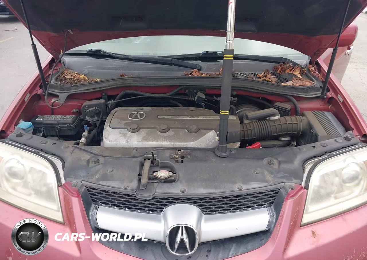 2005 Acura Mdx VIN:2HNYD18905H541126 - 10