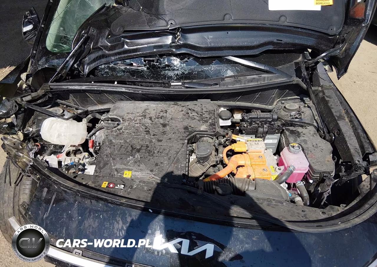 2024 Kia Niro Lx VIN:KNDCP3LE6R5132701 - 10