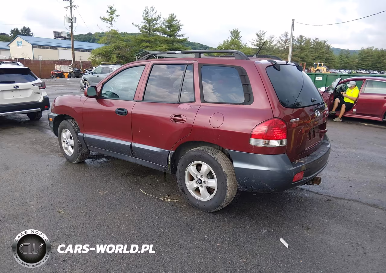 2005 Hyundai Santa Fe VIN:KM8SC73DX5U980792 - 3