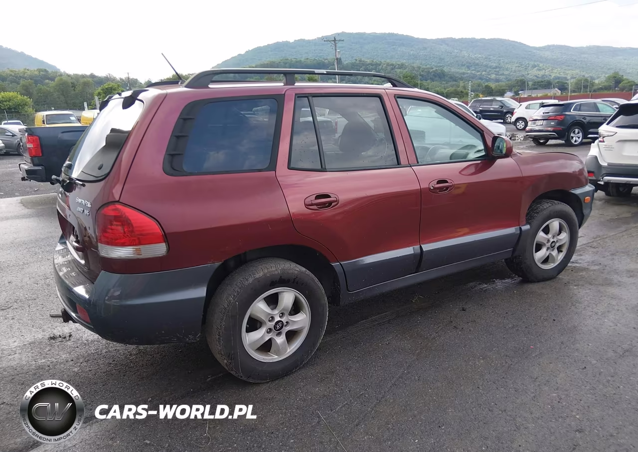 2005 Hyundai Santa Fe VIN:KM8SC73DX5U980792 - 4