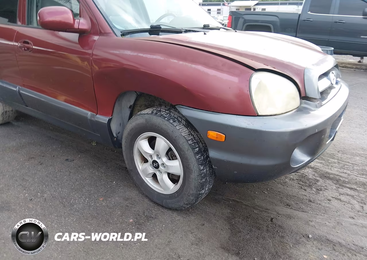 2005 Hyundai Santa Fe VIN:KM8SC73DX5U980792 - 6