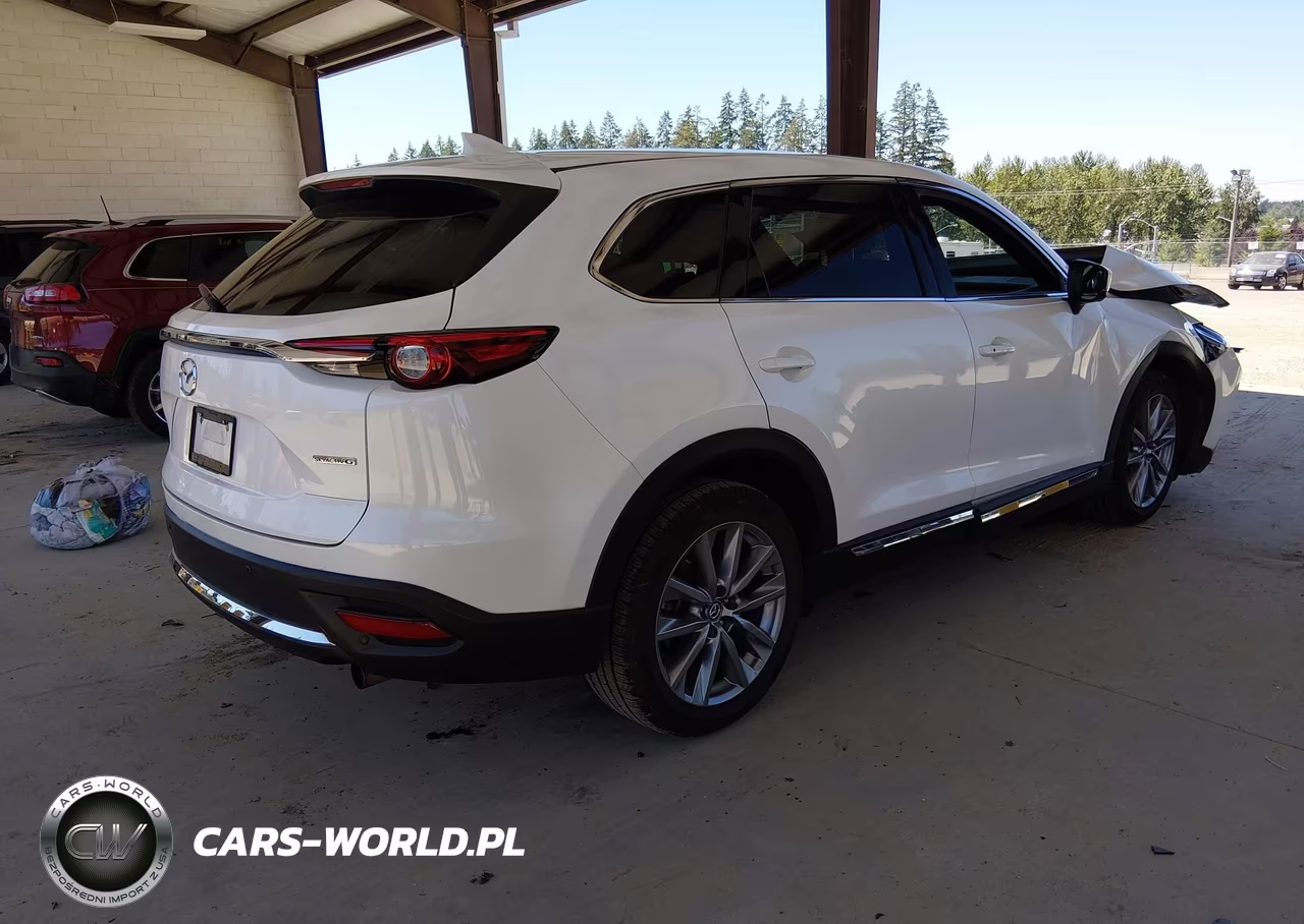 2023 Mazda Cx-9 Grand Touring VIN:JM3TCBDY7P0640448 - 4