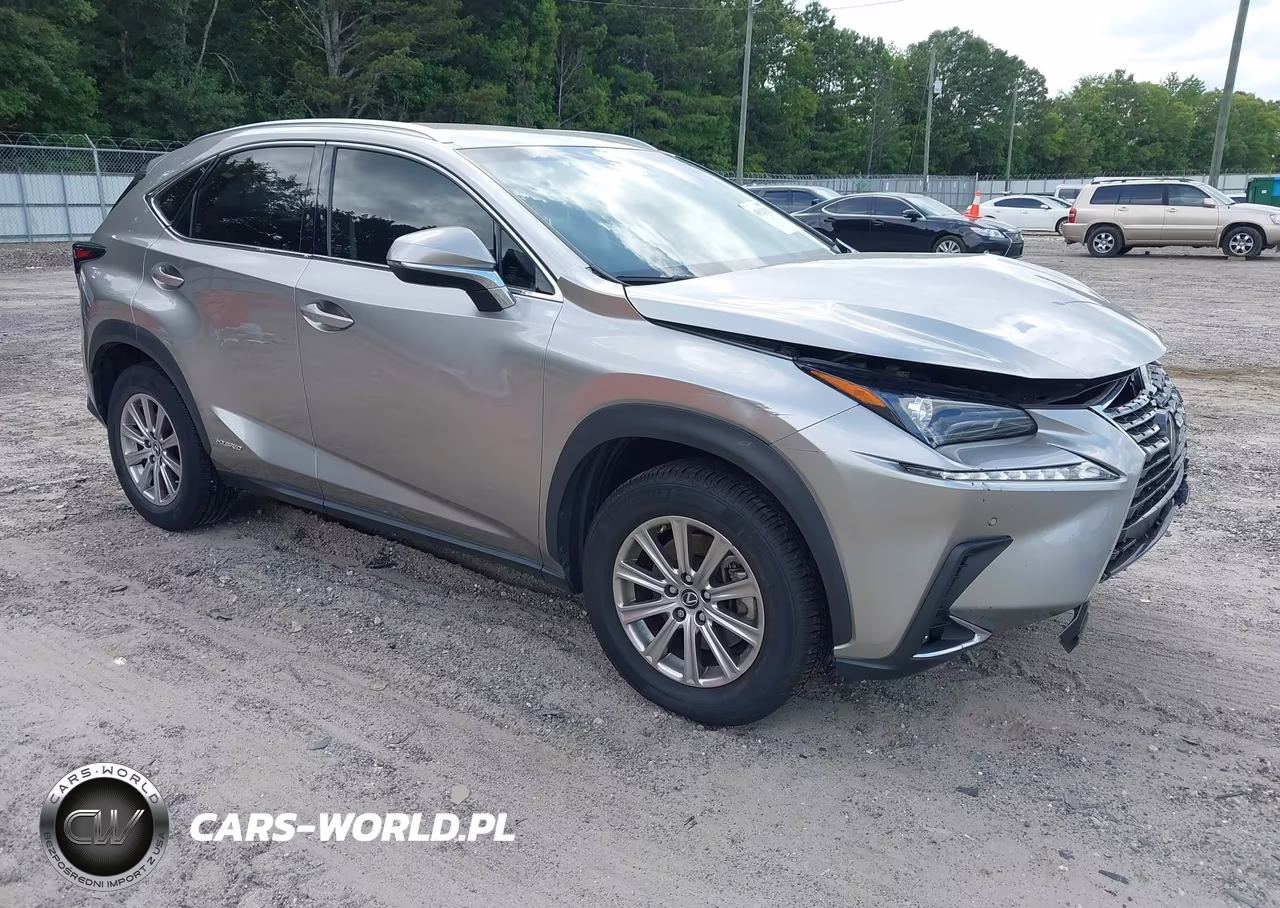 2019 Lexus Nx 300H