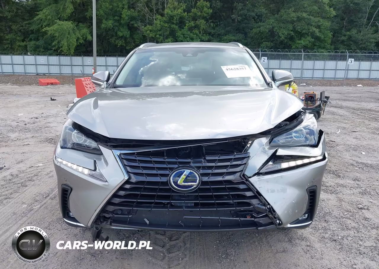 2019 Lexus Nx 300H VIN:JTJBJRBZ8K2107324 - 12
