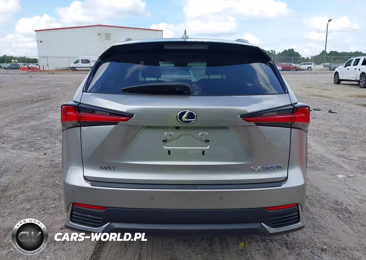 2019 Lexus Nx 300H VIN:JTJBJRBZ8K2107324 - 16