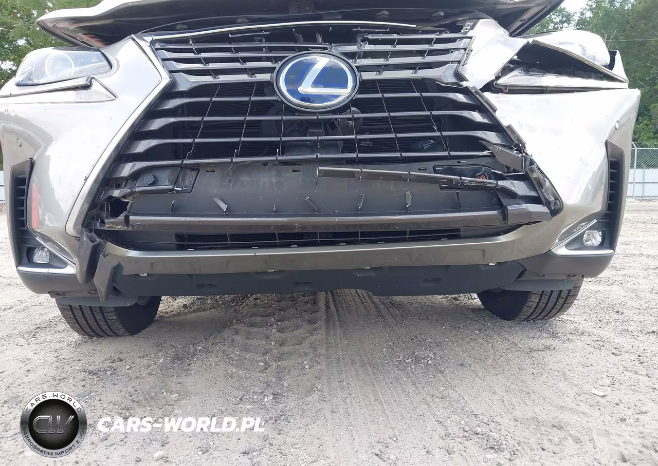 2019 Lexus Nx 300H VIN:JTJBJRBZ8K2107324 - 17