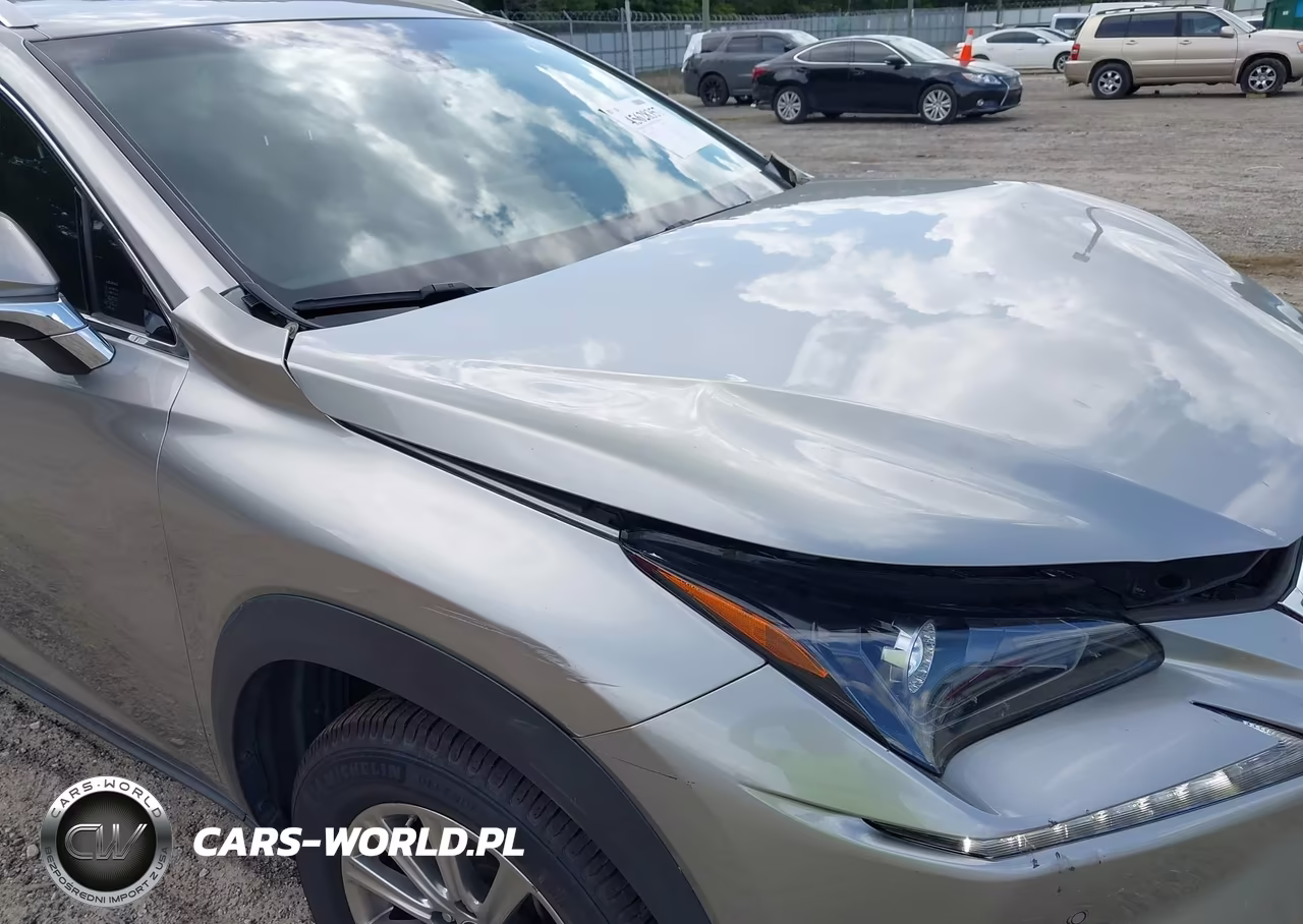 2019 Lexus Nx 300H VIN:JTJBJRBZ8K2107324 - 18