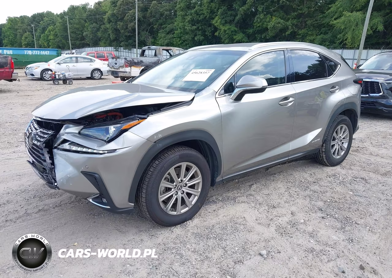 2019 Lexus Nx 300H VIN:JTJBJRBZ8K2107324 - 2