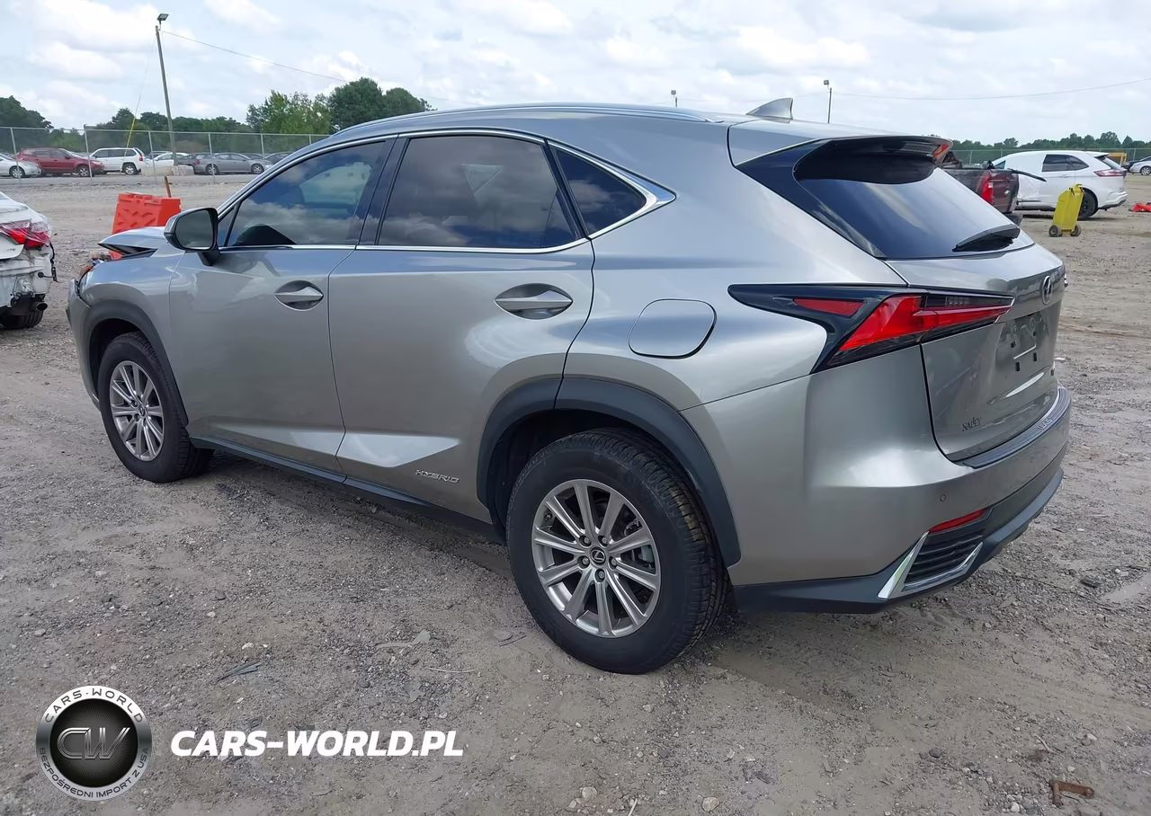 2019 Lexus Nx 300H VIN:JTJBJRBZ8K2107324 - 3