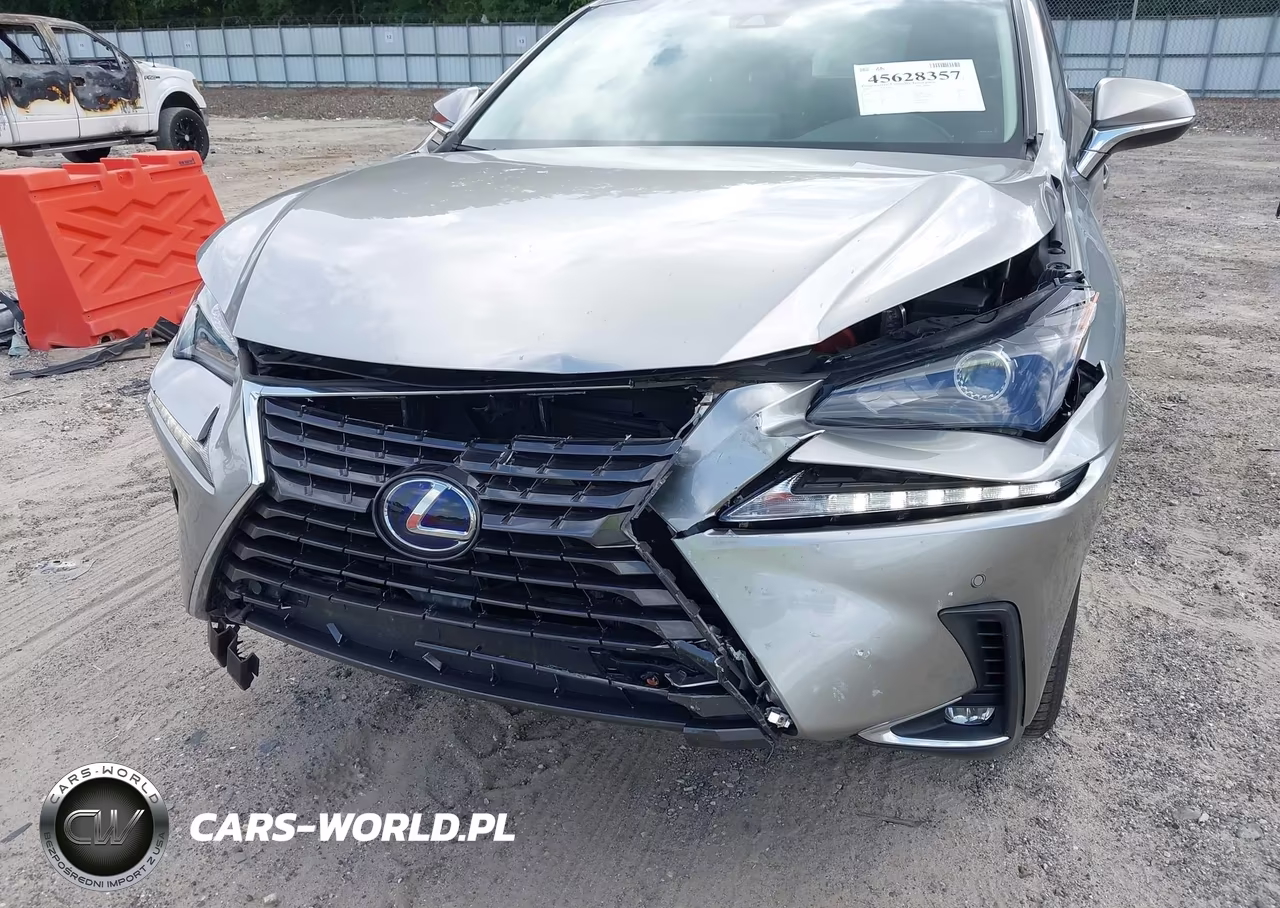 2019 Lexus Nx 300H VIN:JTJBJRBZ8K2107324 - 6