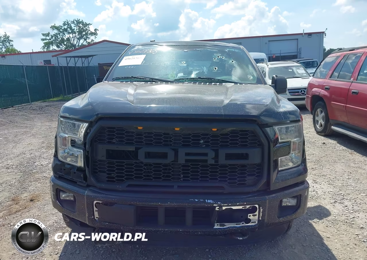 2016 Ford F-150 Xlt VIN:1FTEW1EP9GFA45350 - 13