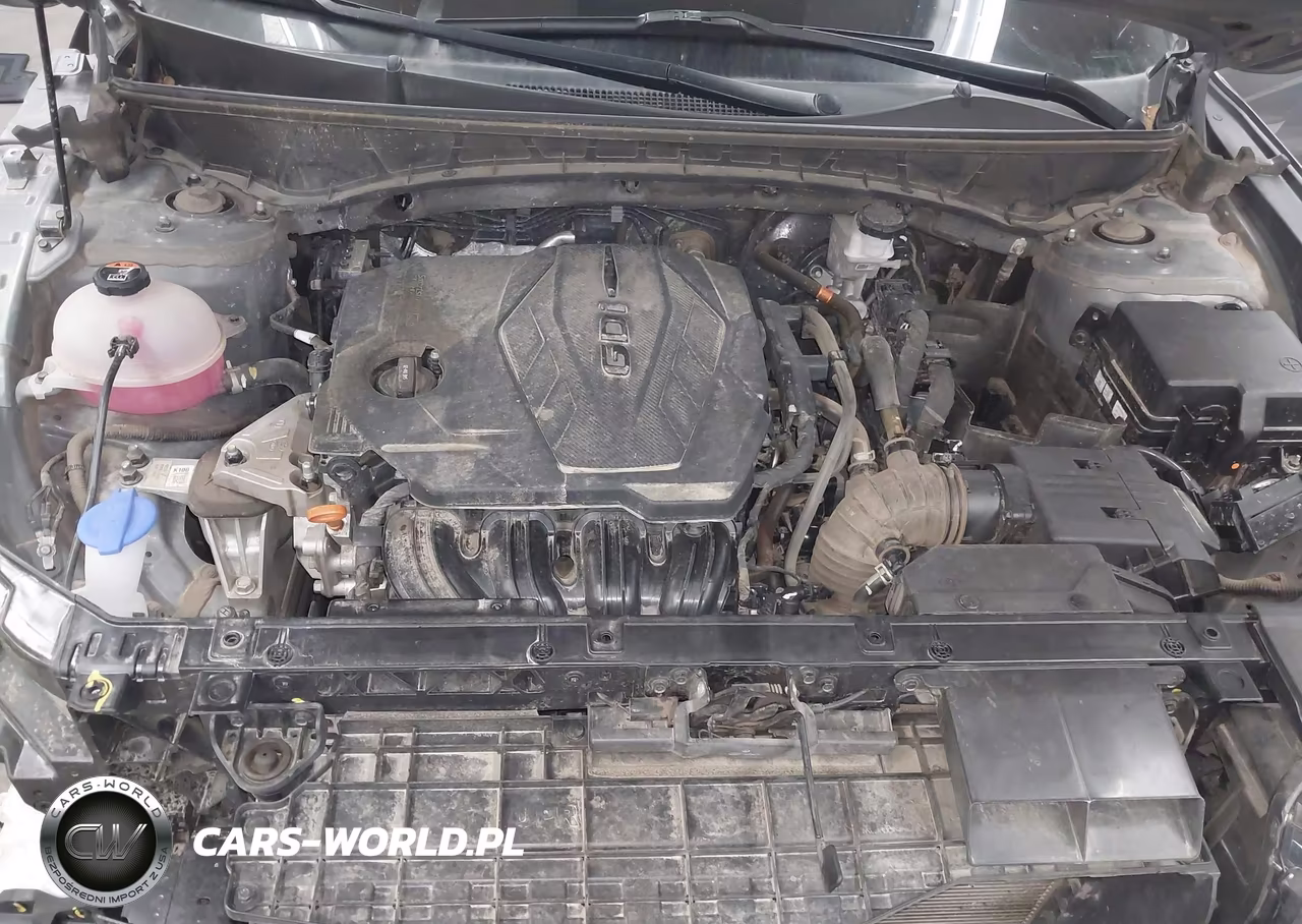 2024 Hyundai Tucson Sel VIN:5NMJF3DE2RH407132 - 10