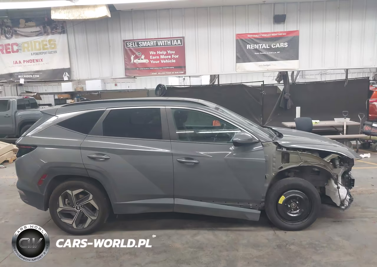 2024 Hyundai Tucson Sel VIN:5NMJF3DE2RH407132 - 13