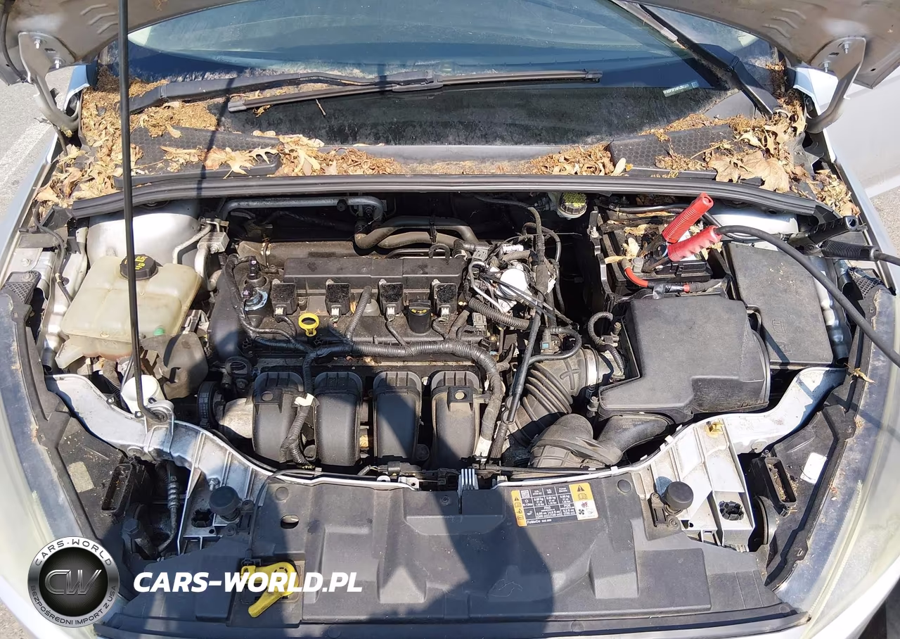 2015 Ford Focus Se VIN:1FADP3F24FL267209 - 10