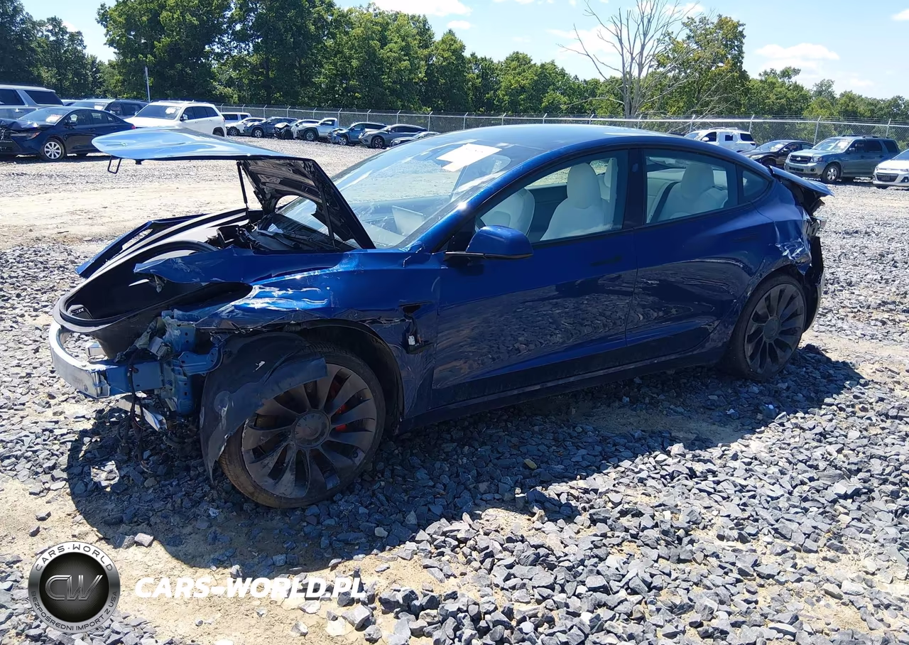 2022 Tesla Model 3 Performance Dual Motor All-Wheel Drive VIN:5YJ3E1EC2NF196300 - 2
