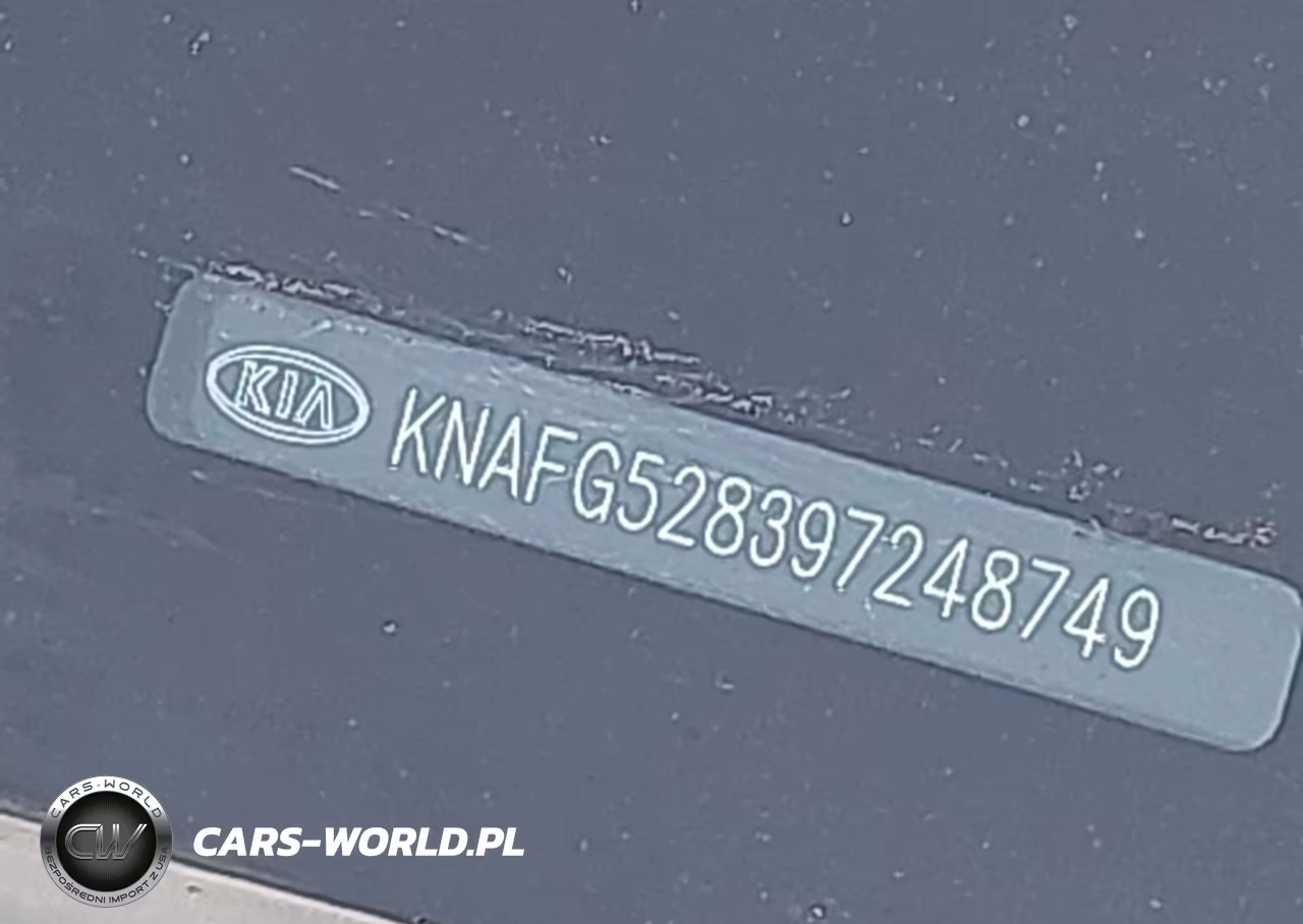 2009 Kia Rondo Lx VIN:KNAFG528397248749 - 11
