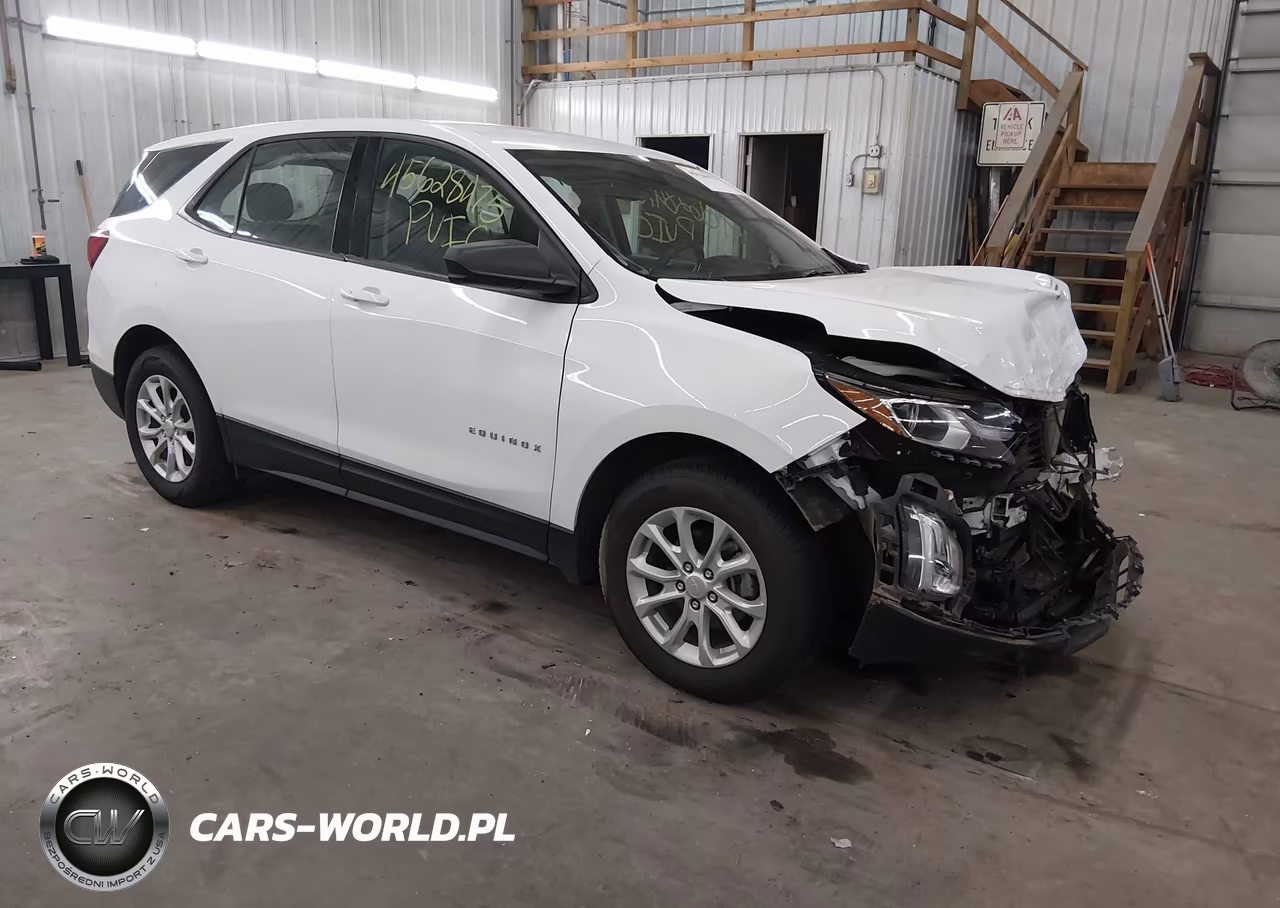 2019 Chevrolet Equinox Ls VIN:2GNAXHEV6K6120633 - 1