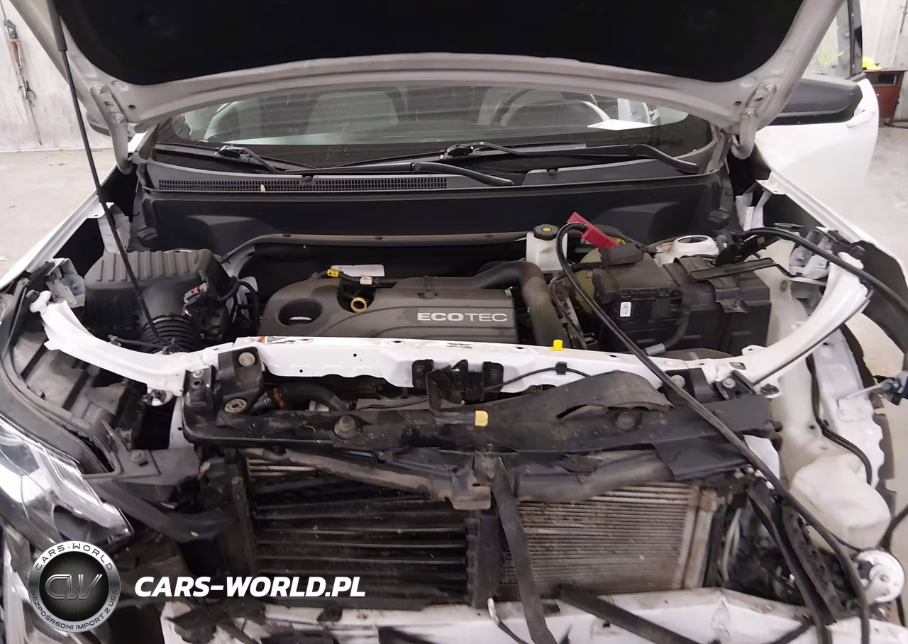 2019 Chevrolet Equinox Ls VIN:2GNAXHEV6K6120633 - 10