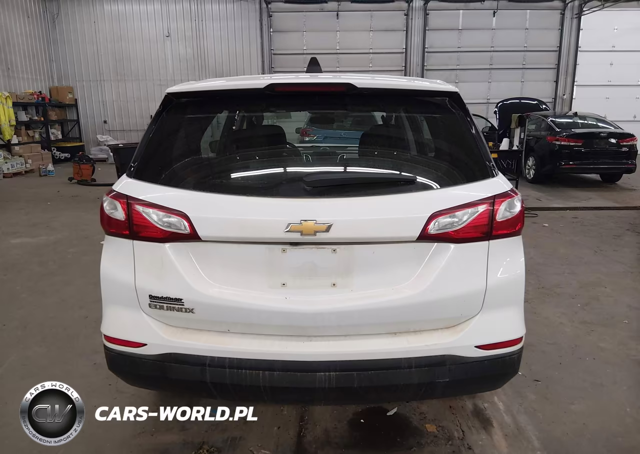 2019 Chevrolet Equinox Ls VIN:2GNAXHEV6K6120633 - 17