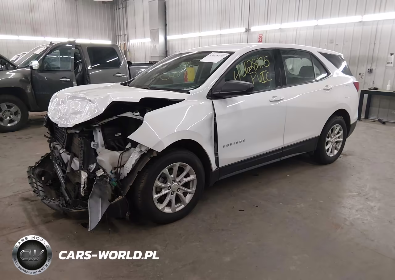 2019 Chevrolet Equinox Ls VIN:2GNAXHEV6K6120633 - 2
