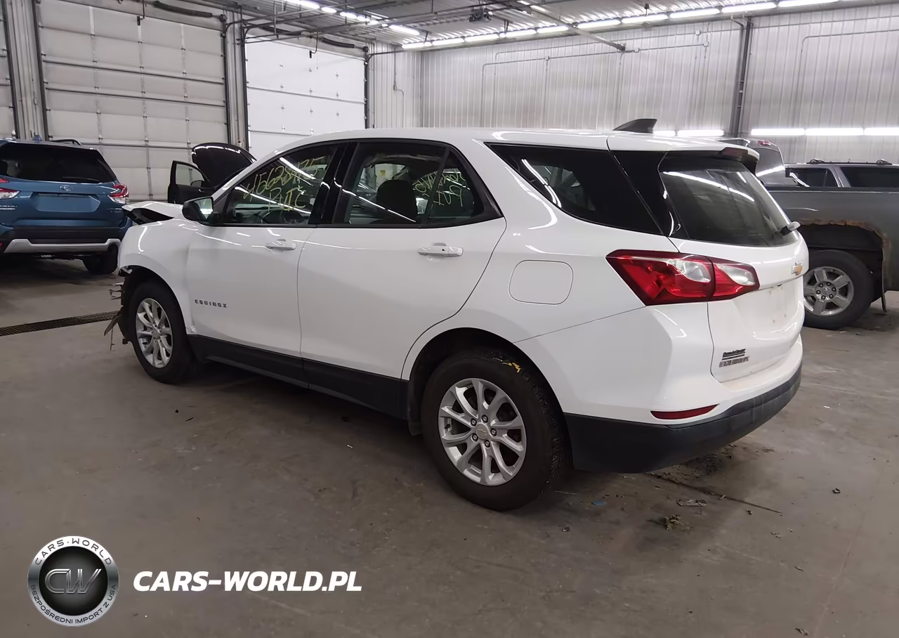 2019 Chevrolet Equinox Ls VIN:2GNAXHEV6K6120633 - 3