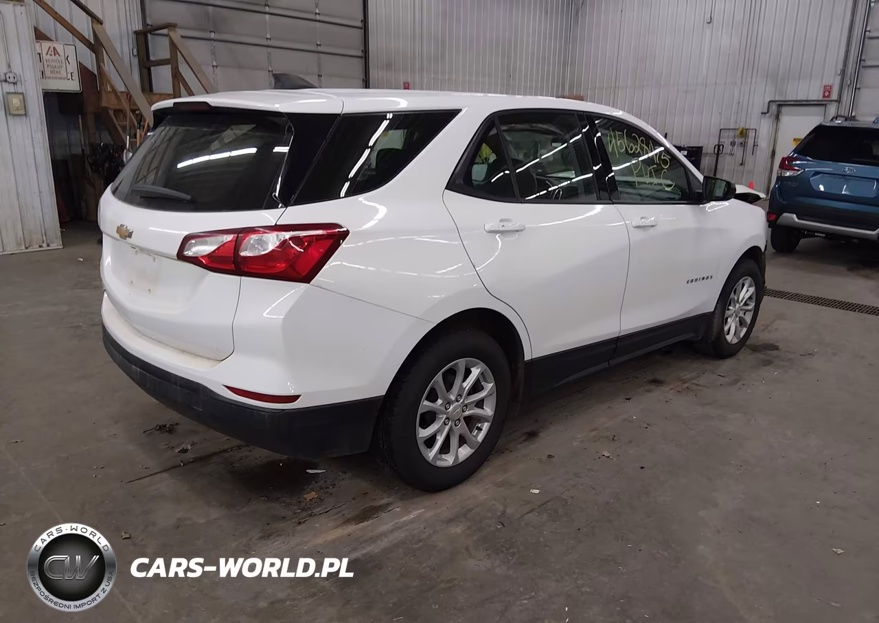 2019 Chevrolet Equinox Ls VIN:2GNAXHEV6K6120633 - 4