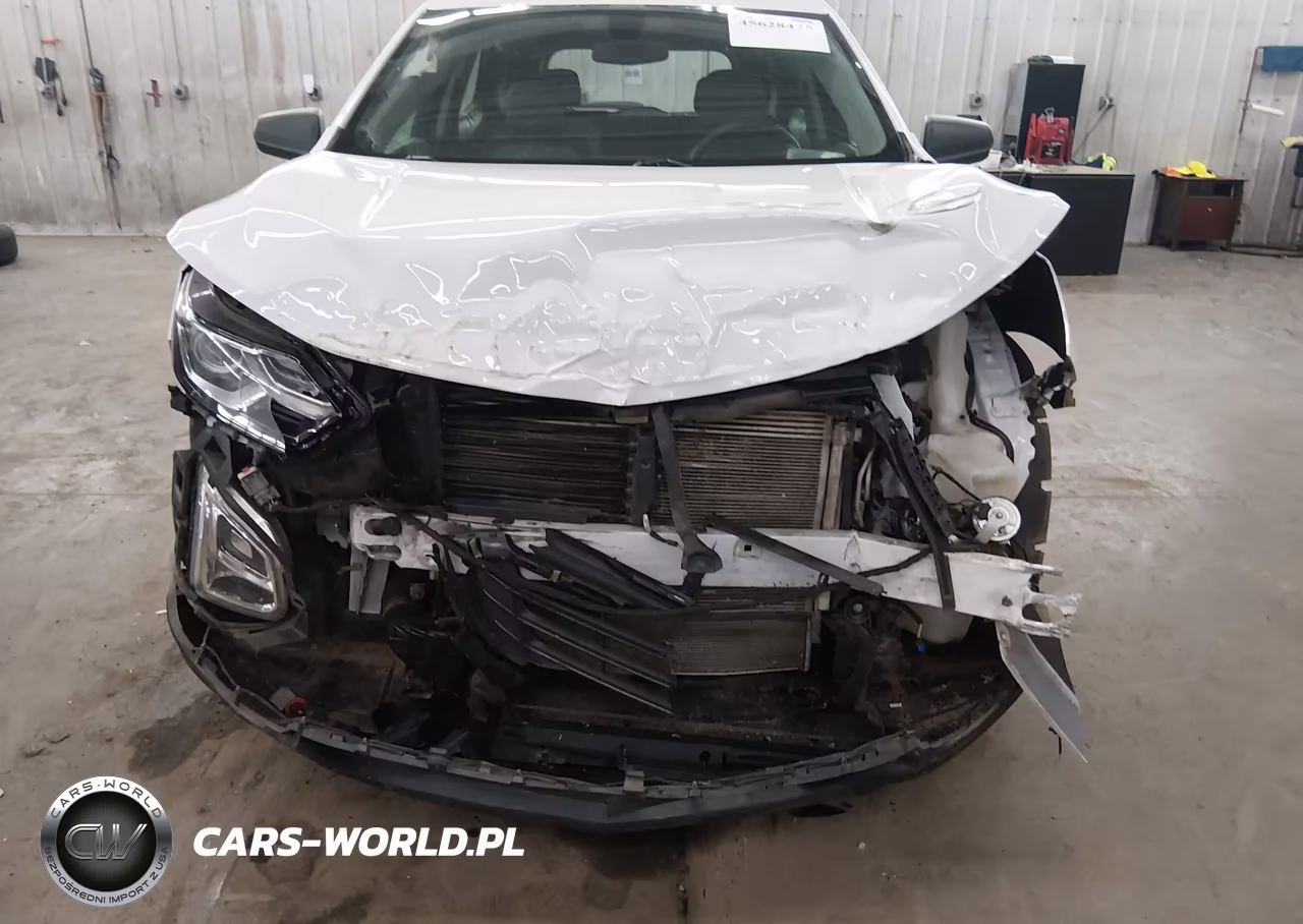 2019 Chevrolet Equinox Ls VIN:2GNAXHEV6K6120633 - 6