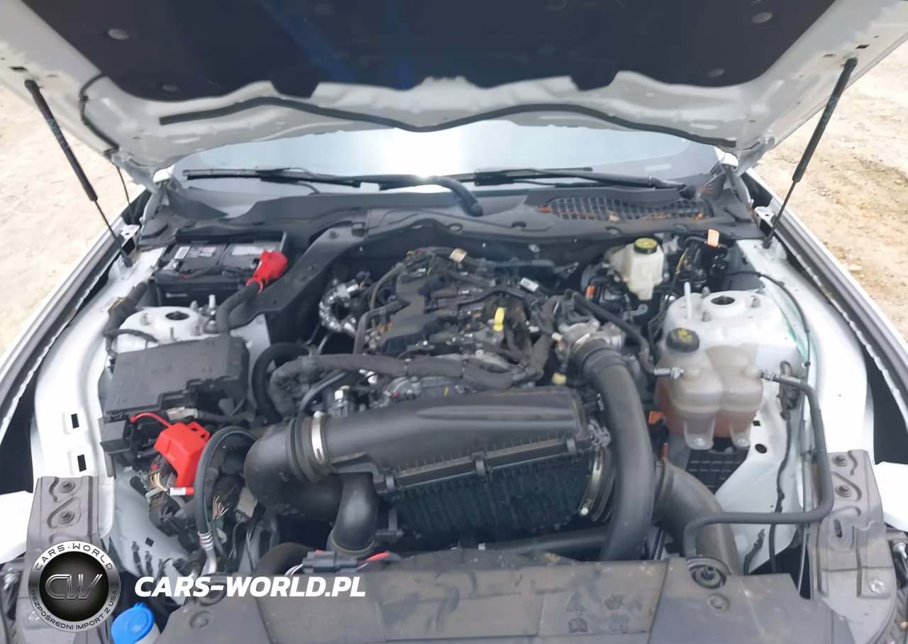 2024 Ford Mustang Ecoboost Premium Fastback VIN:1FA6P8TH1R5109840 - 10
