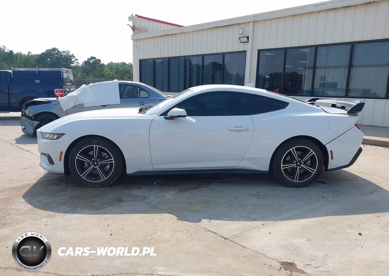 2024 Ford Mustang Ecoboost Premium Fastback VIN:1FA6P8TH1R5109840 - 14