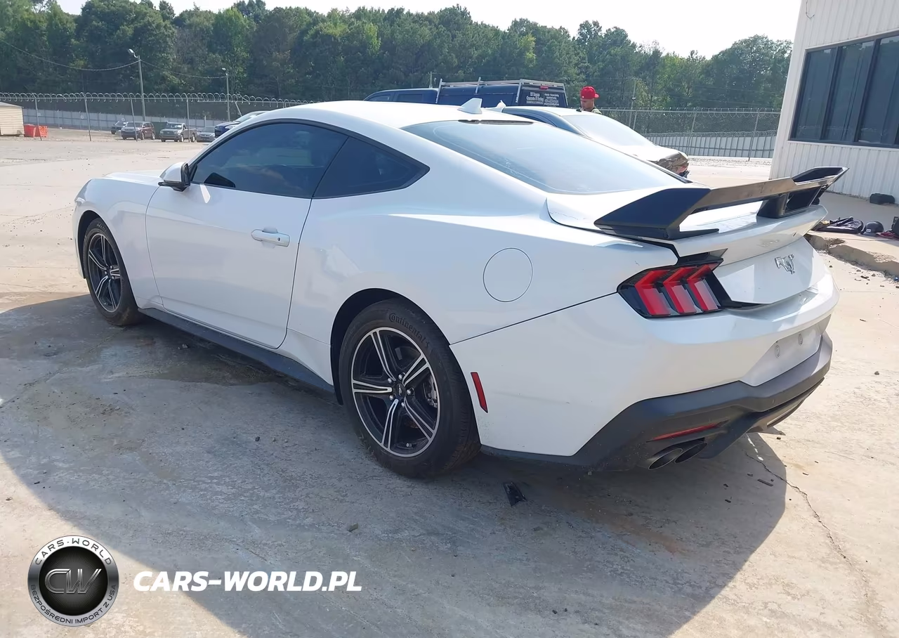 2024 Ford Mustang Ecoboost Premium Fastback VIN:1FA6P8TH1R5109840 - 3