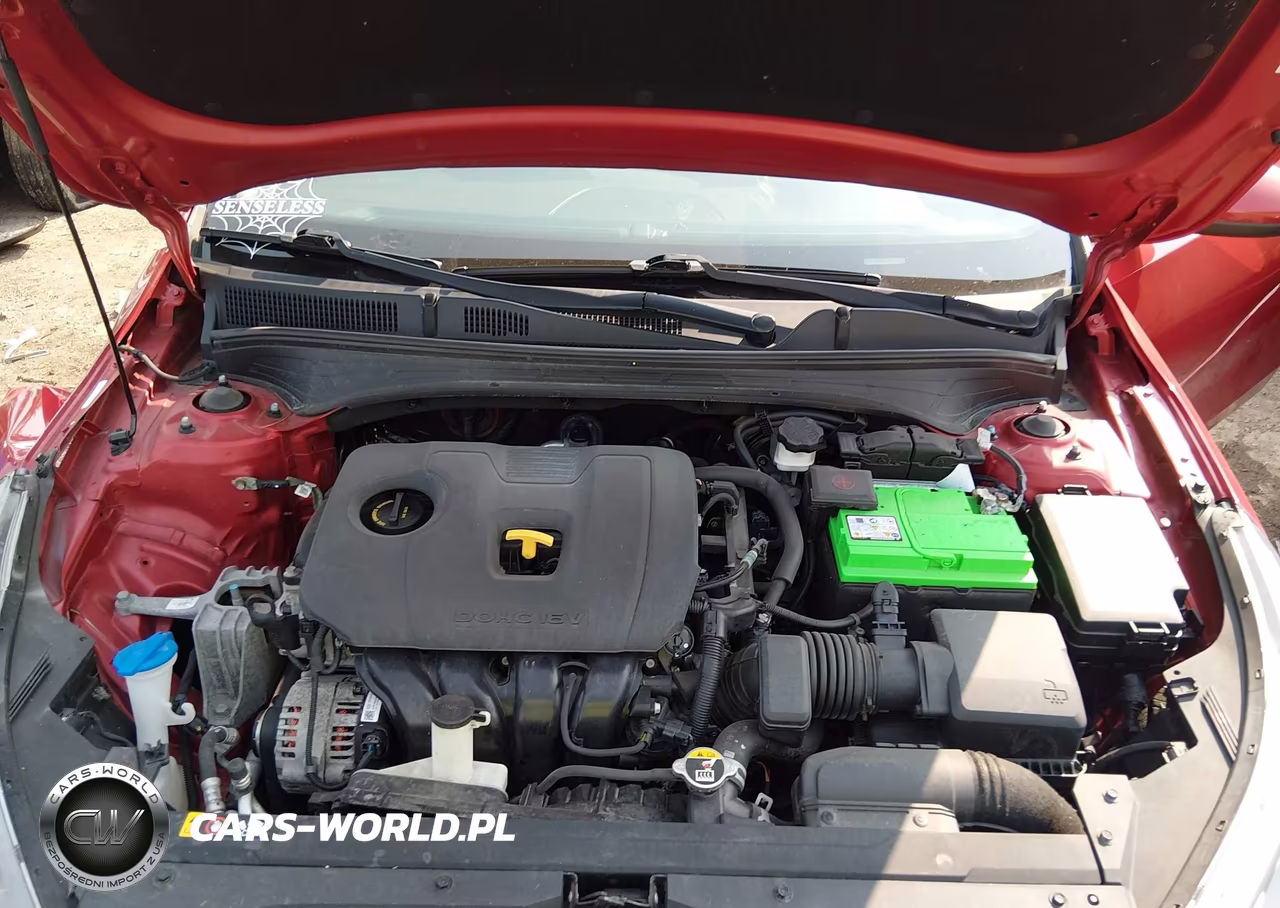 2019 Kia Forte Lxs VIN:3KPF24AD9KE071558 - 10