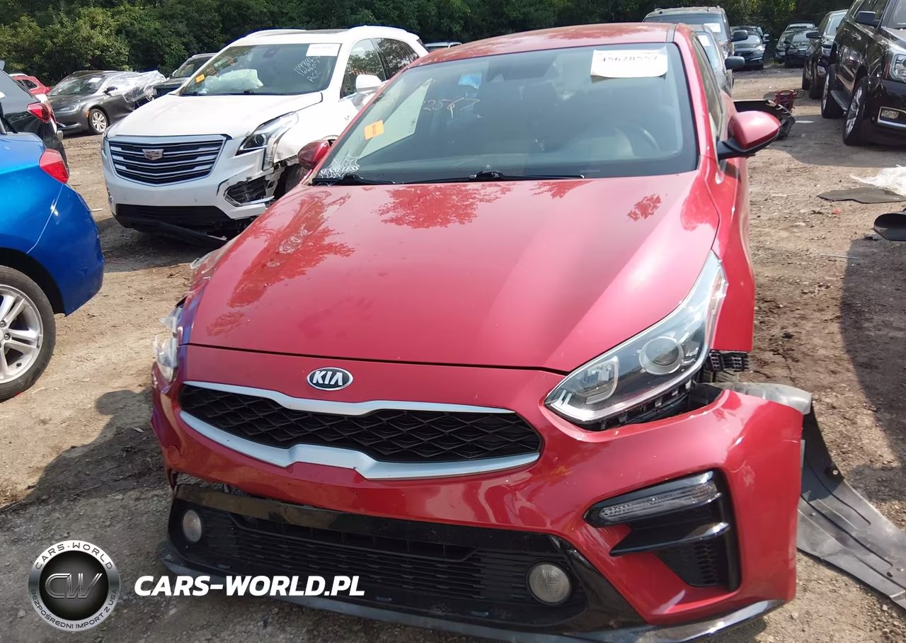 2019 Kia Forte Lxs VIN:3KPF24AD9KE071558 - 12