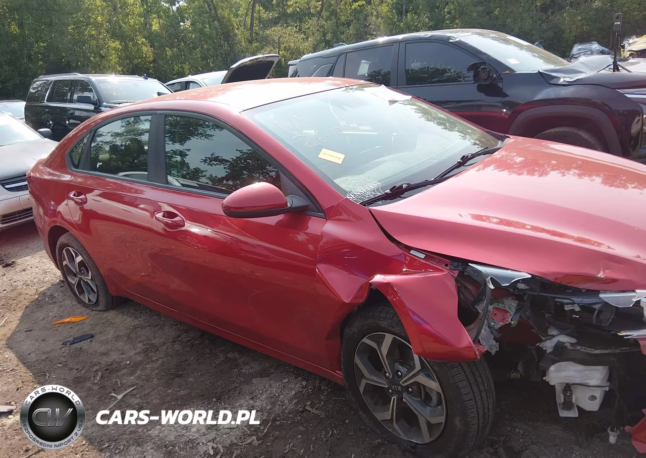 2019 Kia Forte Lxs VIN:3KPF24AD9KE071558 - 13