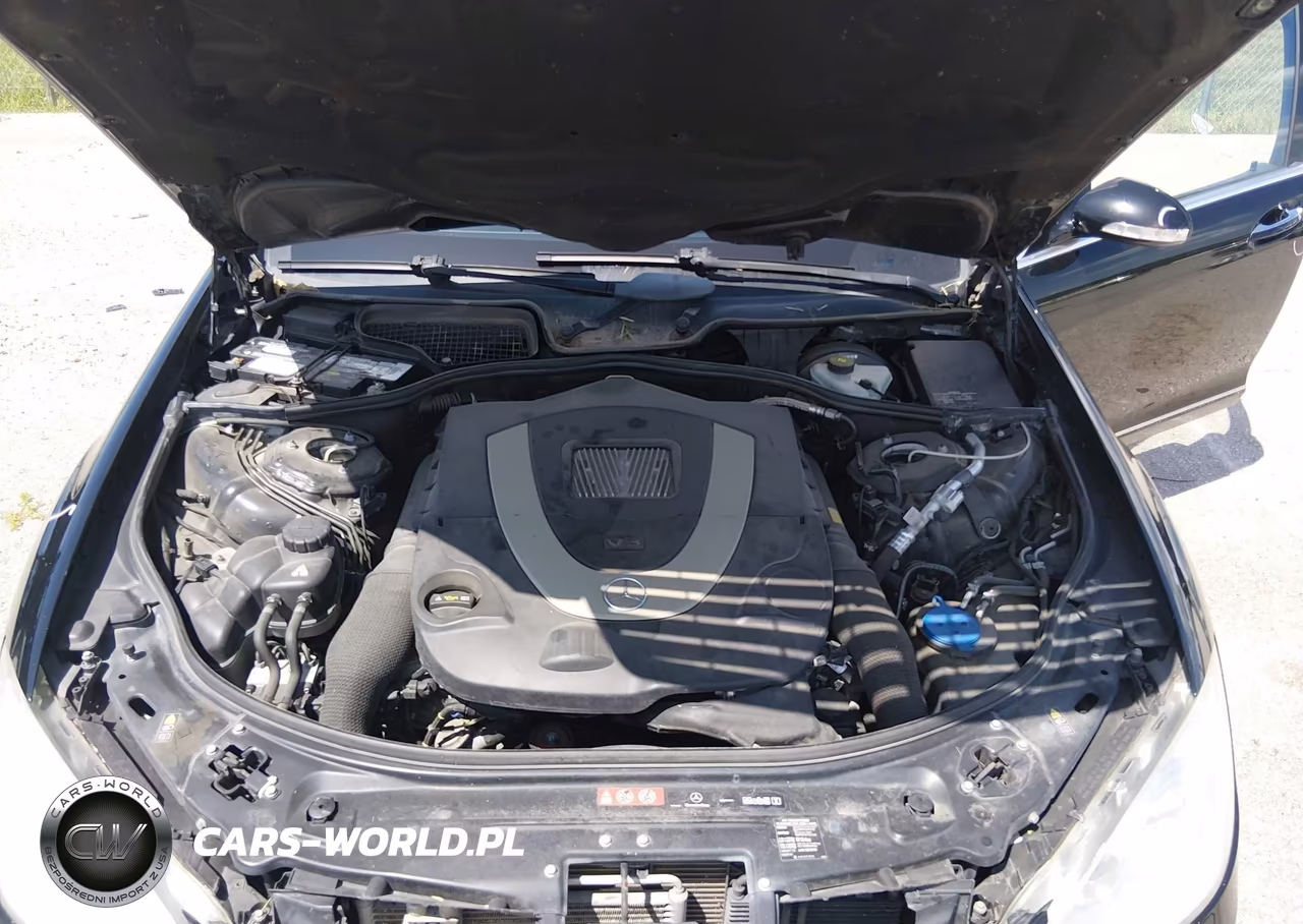 2009 Mercedes-Benz S 550 4Matic VIN:WDDNG86X09A266927 - 10