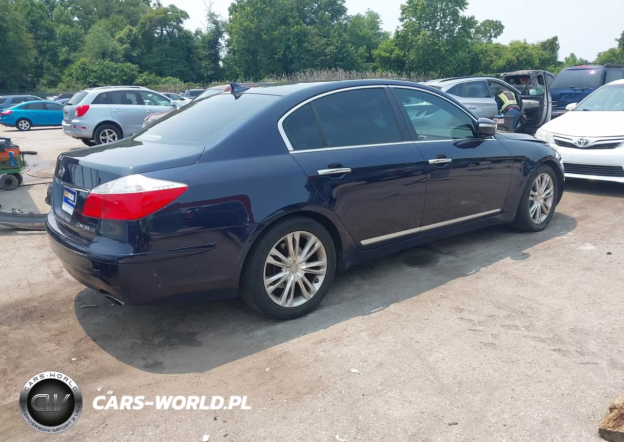 2010 Hyundai Genesis 4.6 VIN:KMHGC4DF9AU085549 - 4