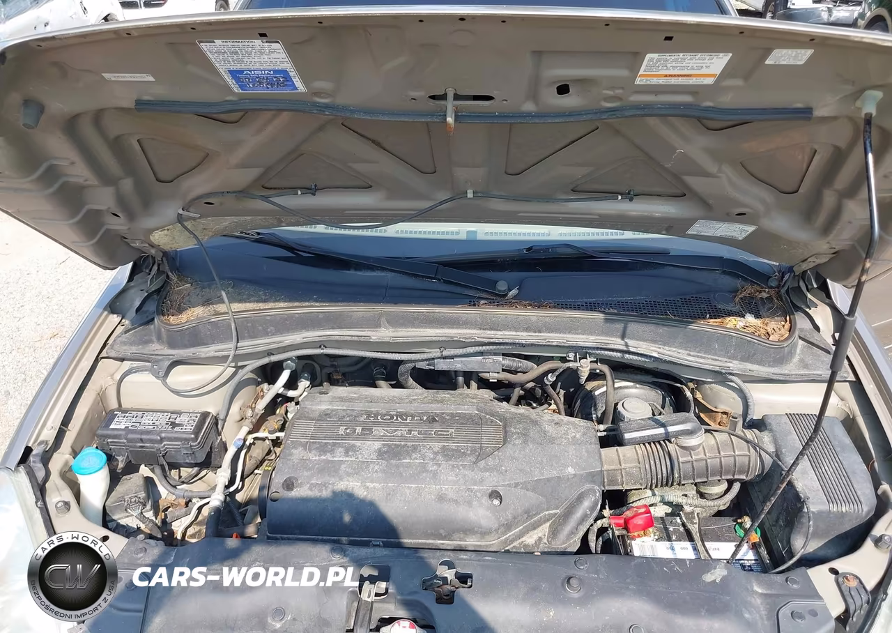 2004 Honda Pilot Ex-L VIN:2HKYF18534H619904 - 10