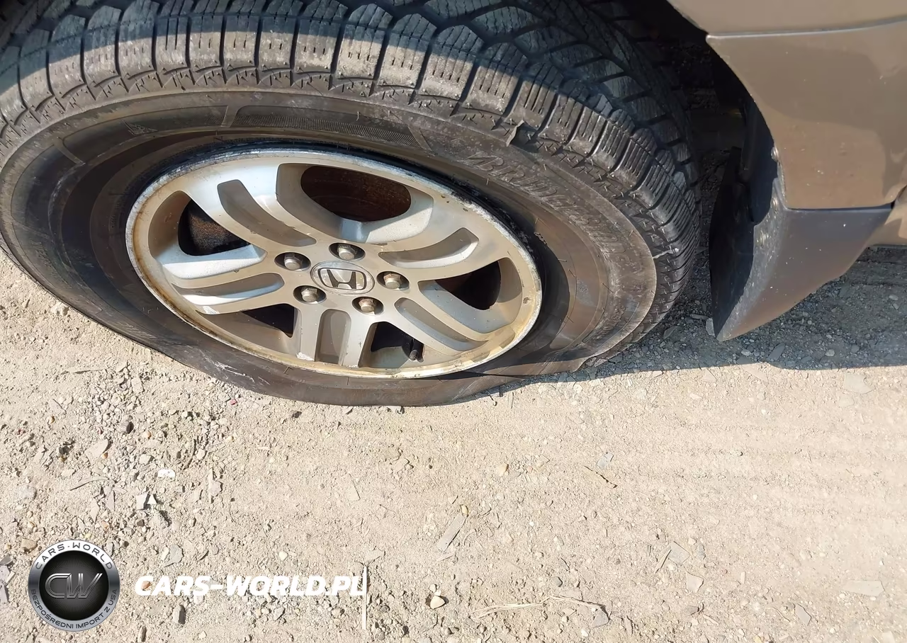 2004 Honda Pilot Ex-L VIN:2HKYF18534H619904 - 13